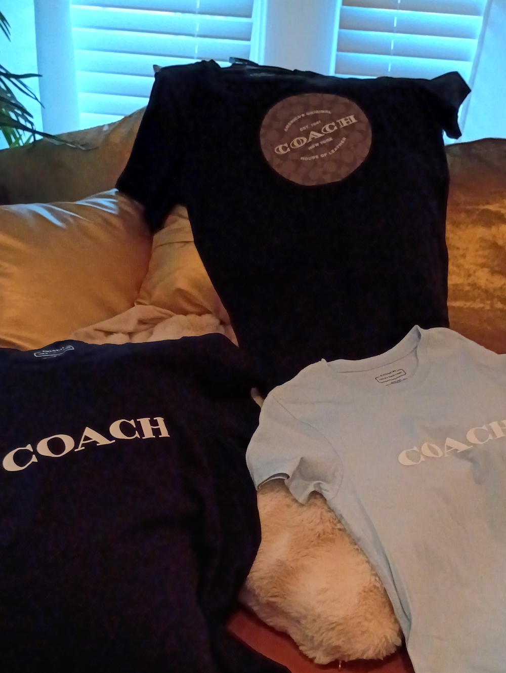 Coach T-shirts